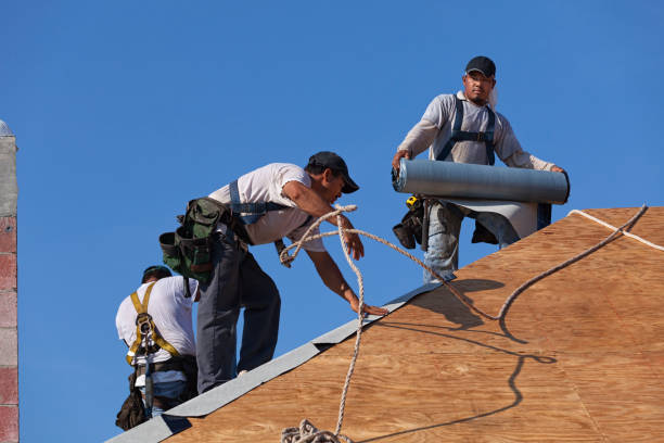 Roof Waterproofing Services in North Charleroi, PA
